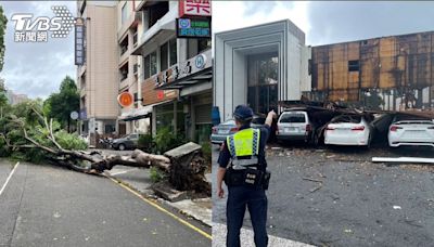 凱米颱風／壯觀影片曝！台中多區路樹齊聲倒 木牆被吹垮毀4車│TVBS新聞網