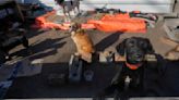 Inside a makeshift shelter saving hundreds of dogs from floods in southern Brazil