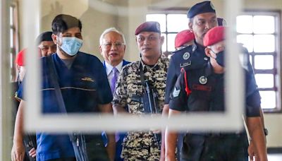 Malaysian Bar duty-bound to seek review of Najib’s pardon, says president