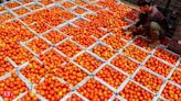 After Delhi NCR, tomatoes being sold at Rs 60/kg in select locations in Mumbai