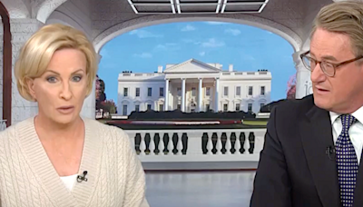 'Nobody's panicking': Morning Joe and Mika bicker over Biden's chances going forward