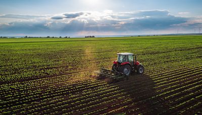 Como a plantabilidade influencia na safra