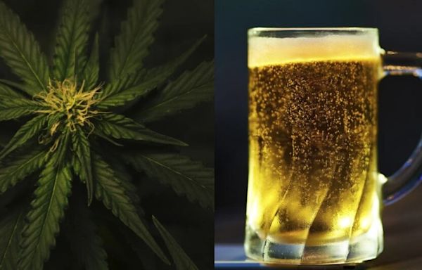 Cannabis Producer Green Thumb Seeks Boston Beer Merger - Green Thumb Industries (OTC:GTBIF), Boston Beer Co (NYSE:SAM)