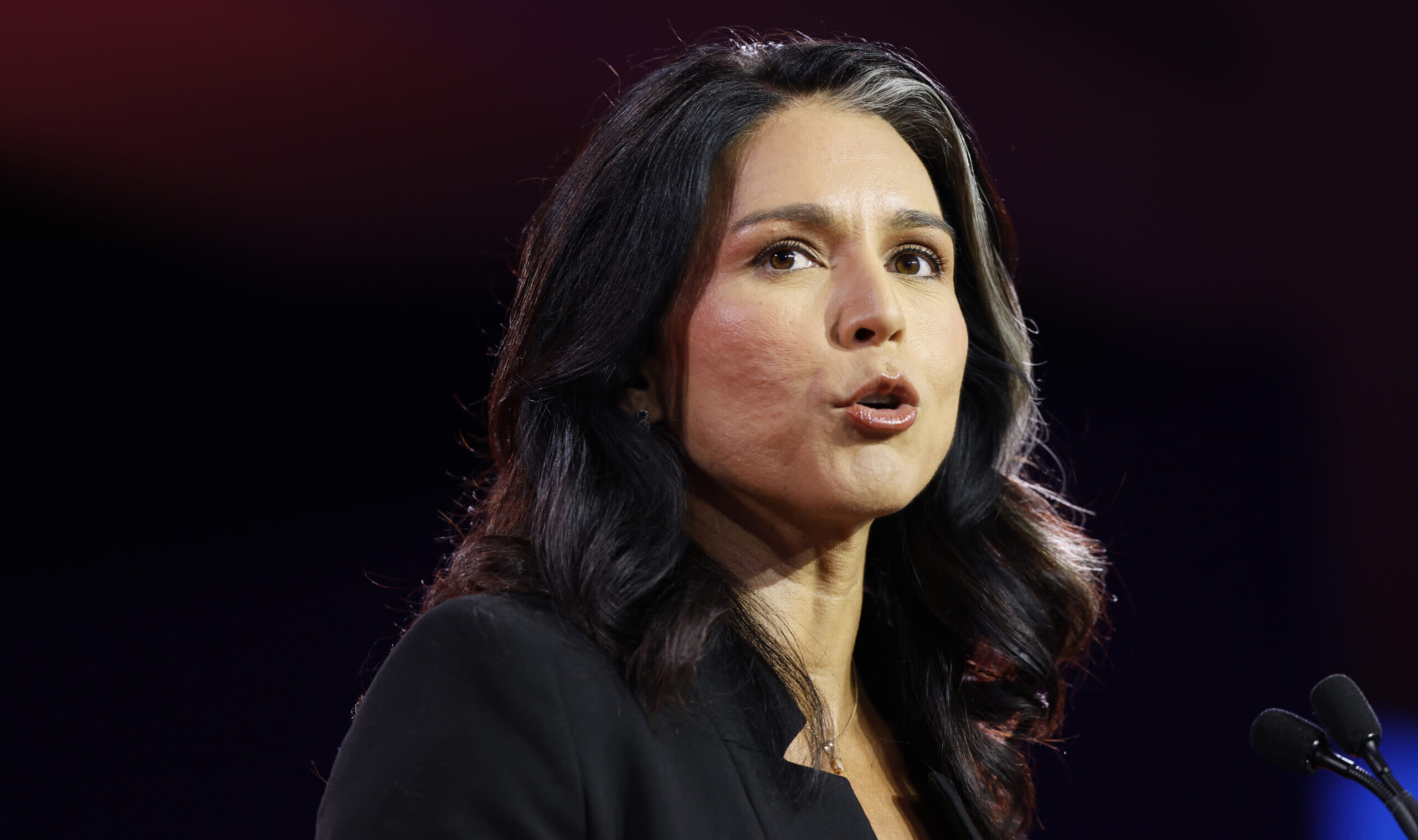 Tulsi Gabbard Placed On TSA Watchlist