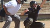 High school softball: Eight Tigers pick up postseason honors