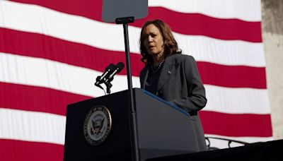 Kamala Harris - US vice president and favoured Biden successor