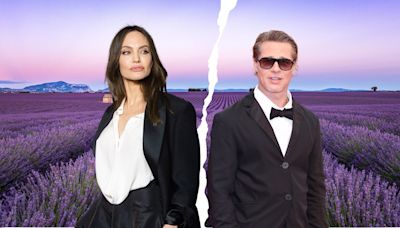 Brad Pitt and Angelina Jolie's French vineyard at heart of $350m legal battle