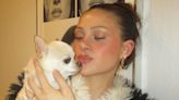 Nicola Peltz to sue dog groomer over chihuahua death