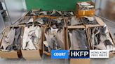 Man jailed for 1 year in Hong Kong for importing HK$620,000 worth of endangered shark fins illegally