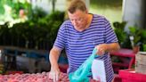 Senior farmers market vouchers available Monday