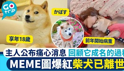 人氣MEME圖柴犬已離世享年18歲 狗狗幣急挫6%