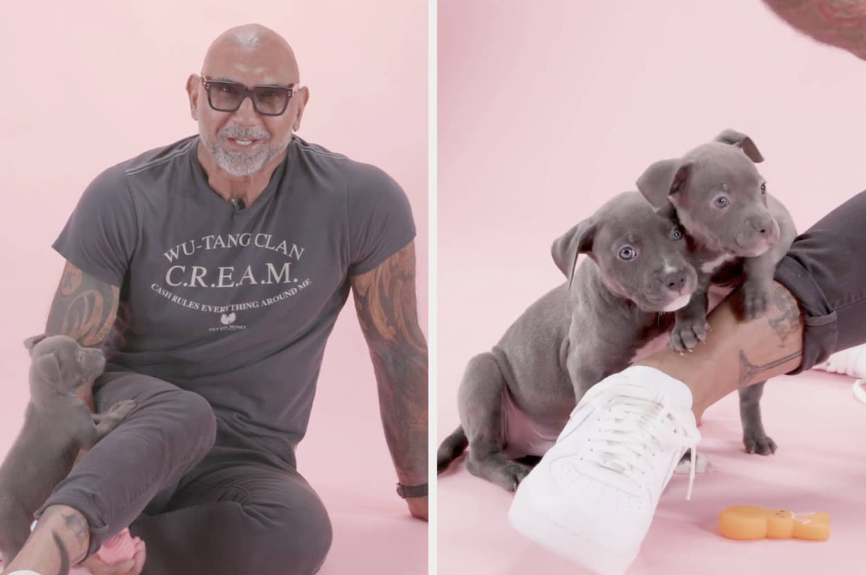 Dave Bautista, A Dog Dad To Four Pit Bulls, Just Did Our Puppy Interview, And It's So Adorable