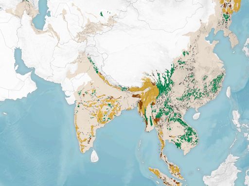 How Satellite Technology Is Rewriting Tiger Conservation