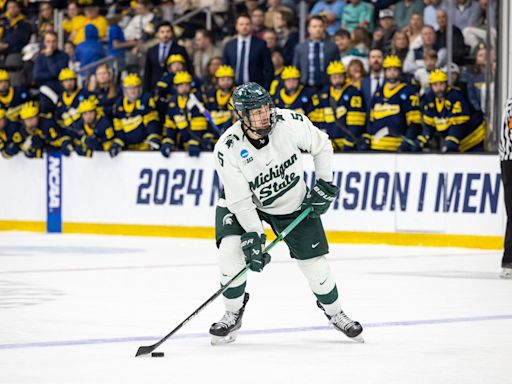 NHL mock drafts predict what Detroit Red Wings do with 15th pick