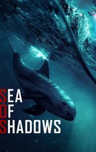 Sea of Shadows