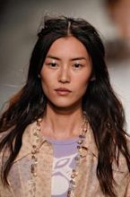 Liu Wen