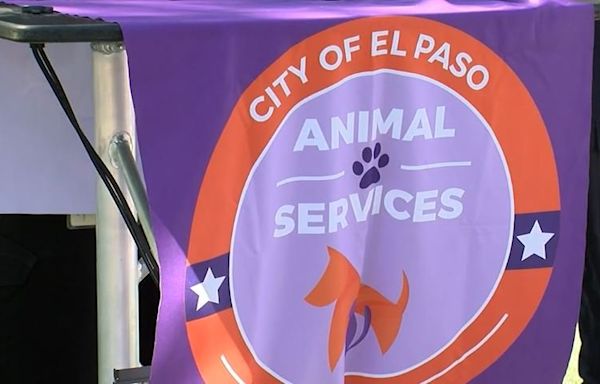 El Paso Animal Services is promoting National Chip Your Pet Month - KVIA