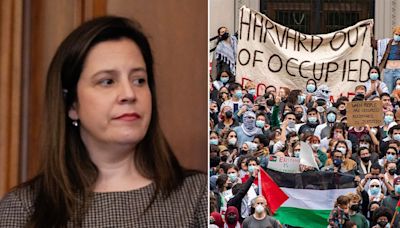 Fox News ‘Antisemitism Exposed’ Newsletter: Stefanik slams Harvard's 'cultural rot'