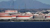 Spain's Cepsa, Apical begin work on Southern Europe's biggest biofuels plant