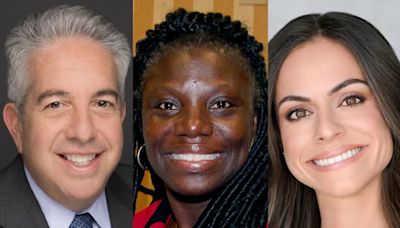 Douglas Leifert, Jean Marie Middleton and Lourdes Casanova Want Your Vote for Palm Beach Judge | Daily Business Review