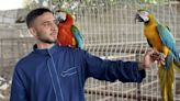 Some animals from a Gaza zoo are now displaced along with their owner