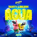 Agua (Tainy and J Balvin song)