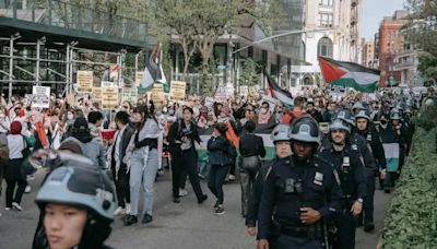 Università, le proteste pro Gaza da decifrare