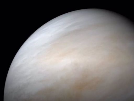 Por qué el planeta Venus se quedó casi sin agua - El Diario - Bolivia