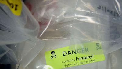 Officials Seized 115 Million Illicit Fentanyl Pills in 2023