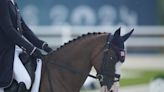 Equestrian riders at Paris Olympics 'horrified' by video of Dujardin whipping a horse