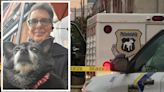 Philadelphia police shoot pitbull that attacked, killed smaller dog walking with owner
