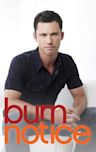 Burn Notice - Season 2