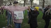 Scarecrows ‘protest’ outside Parliament as farmers warn they’ll go out of business in next year