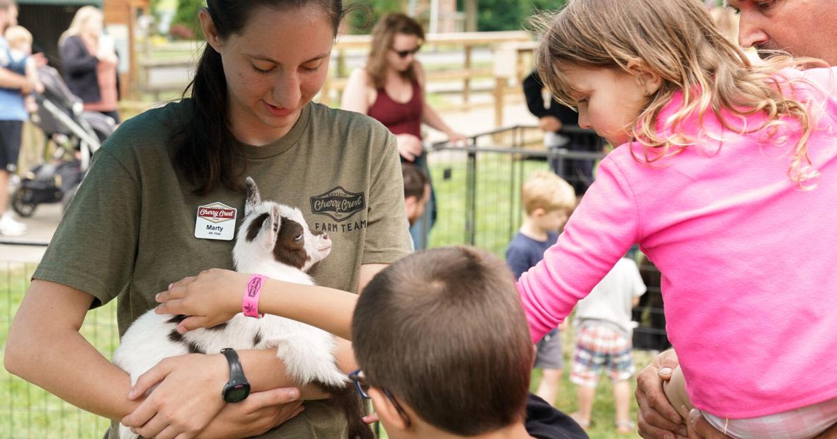8 events in Lancaster County this weekend, from a baby animal festival to a Lancaster Rec beer garden