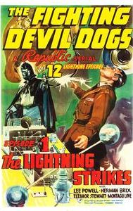 Fighting Devil Dogs