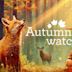 Autumnwatch