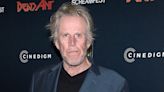 Gary Busey Allegedly Involved in California Hit-and-Run Accident