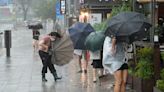 La tormenta tropical Khanun derriba árboles y arranca tejados en Corea del Sur