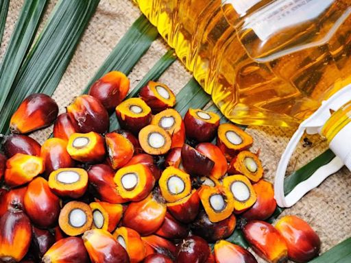 India's July edible oil imports to surge to record on robust palm buying, sources say - The Economic Times