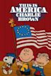 Das ist Amerika, Charlie Brown