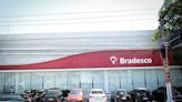 CSN (CSNA3); Vale (VALE3); Bradesco (BBDC4): veja os destaques das empresas