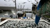 Fishermen take case against paying for monitors to SCOTUS