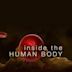 Inside the Human Body