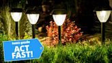 I'm a home editor and these are the 3 Prime Day solar light deals I recommend to light up your yard