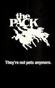 The Pack (1977 film)