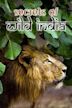 Secrets of Wild India