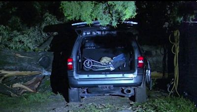 Lamentable: madre muere aplastada por árbol en medio de tormenta en Texas