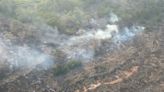 Bomberos, con pies hinchados, luchan contra incendio en Isla Salamanca: van 244 hectáreas consumidas