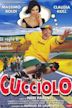 Cucciolo (film)