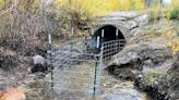 New program to please both landowners and beavers aimed to launch in central Montana